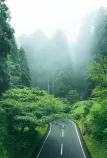 Road