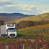 A 19-tonne Renault Trucks D Wide fitted with a Lamberet refrigerated body: on the road through the vineyards in autumn