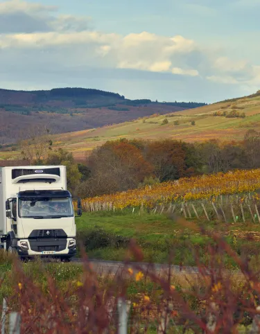 A 19-tonne Renault Trucks D Wide fitted with a Lamberet refrigerated body: on the road through the vineyards in autumn