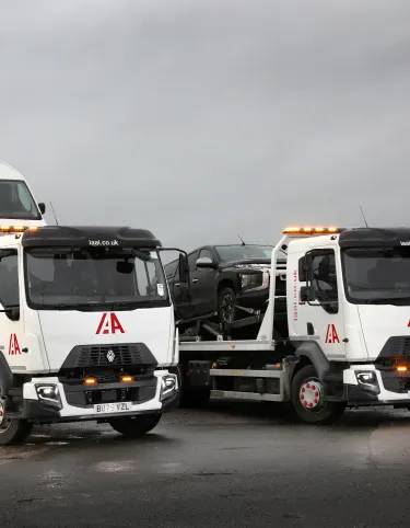 IAA 1